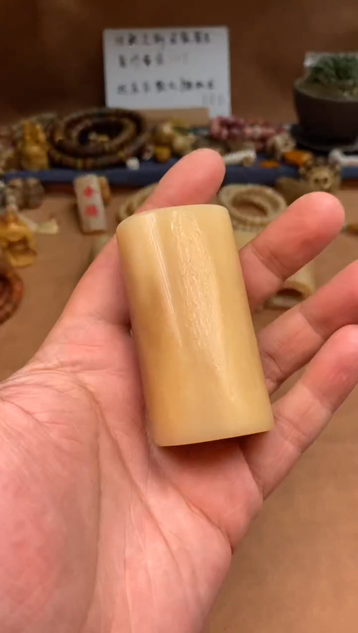 【闪购商品】驼骨其他驼骨定向V358