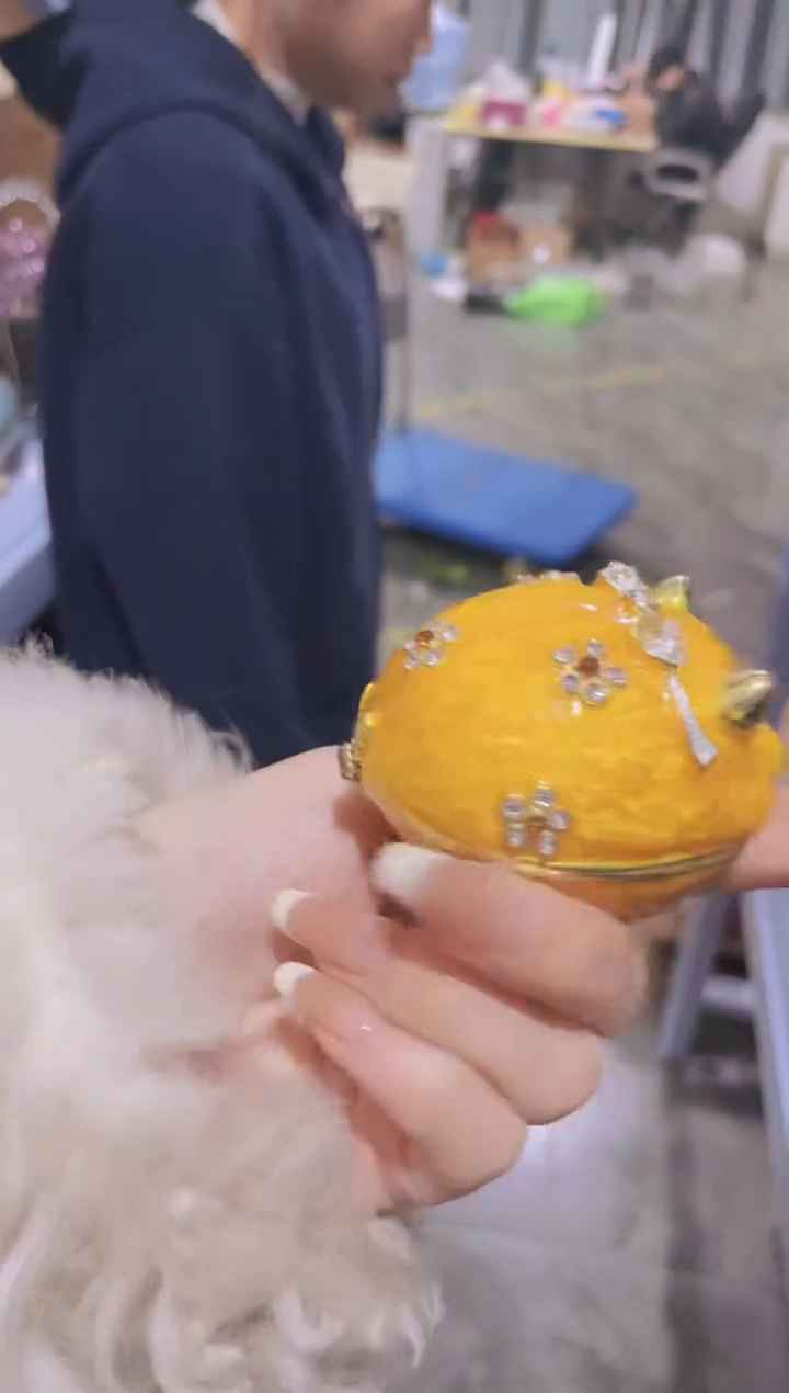 【闪购商品】茶宠豆包儿推荐饰品摆件