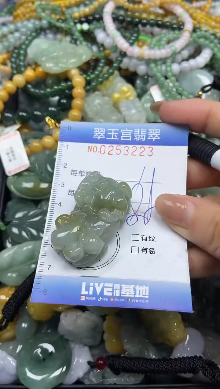 颈饰未镶嵌翡翠闪购C0253223