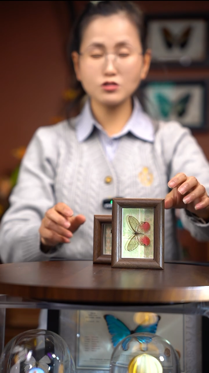 N798玫瑰绡眼蝶木质冰箱贴