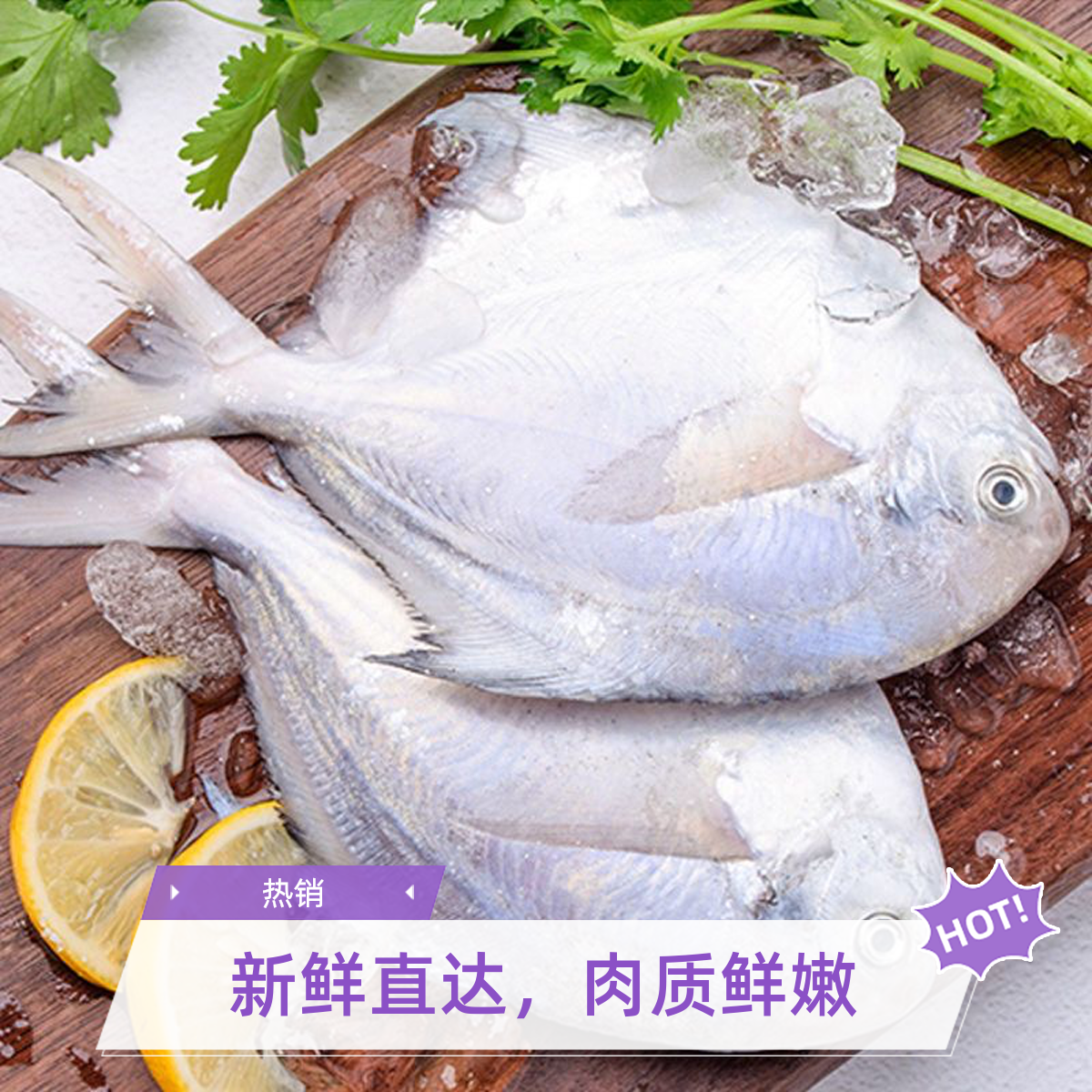 【五斤装】海捕新鲜鲳鱼银鲳鱼海鲜冷冻肉鲳鱼顺丰京东包邮