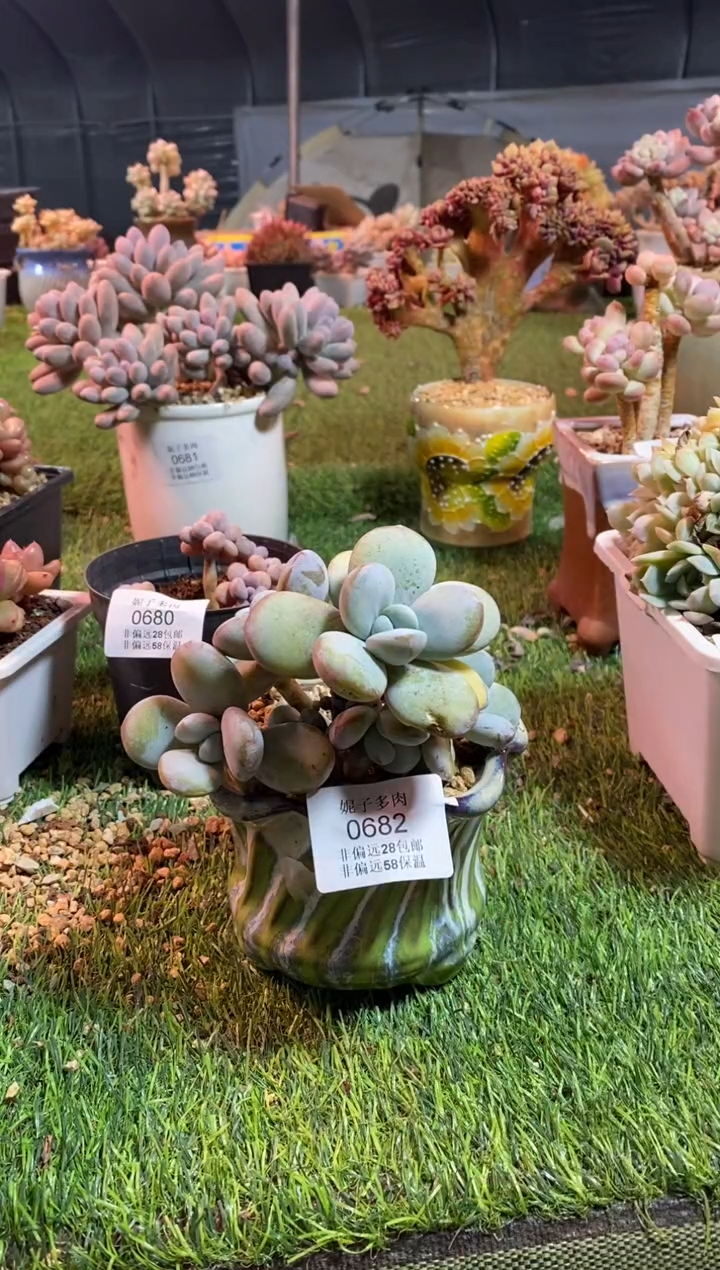 【闪购商品】0682a