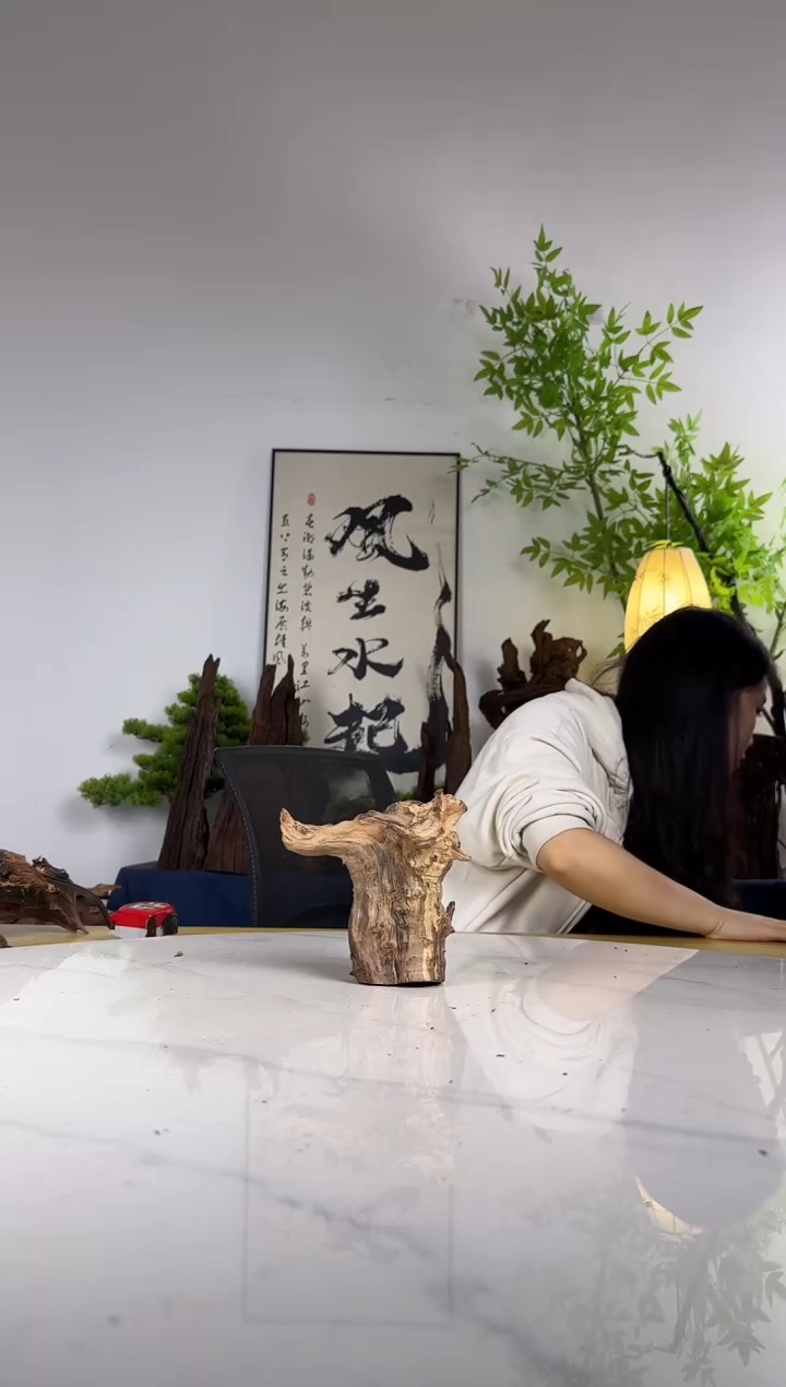 那****圆拍这个定向编号111