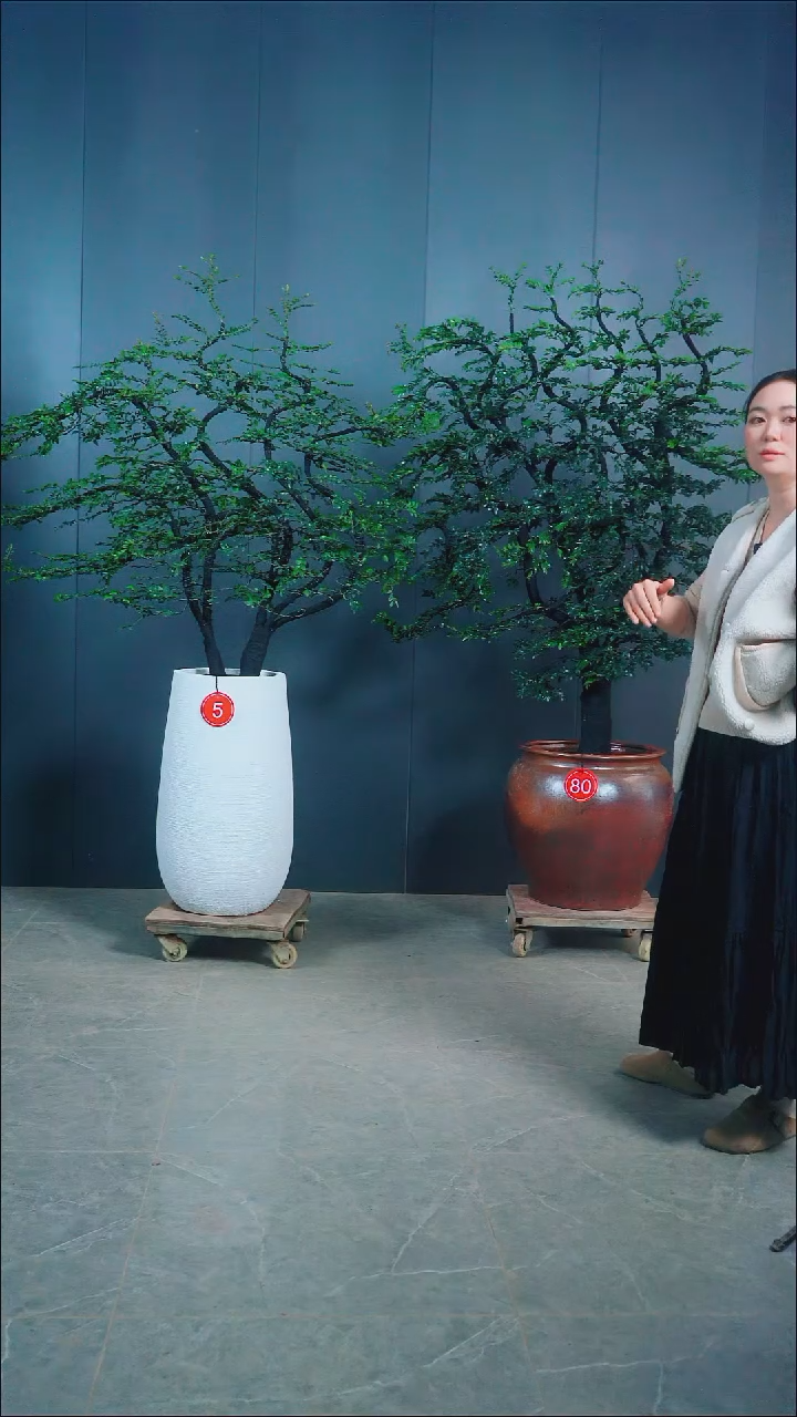 无花朵王**1广东小叶紫檀.80.5号