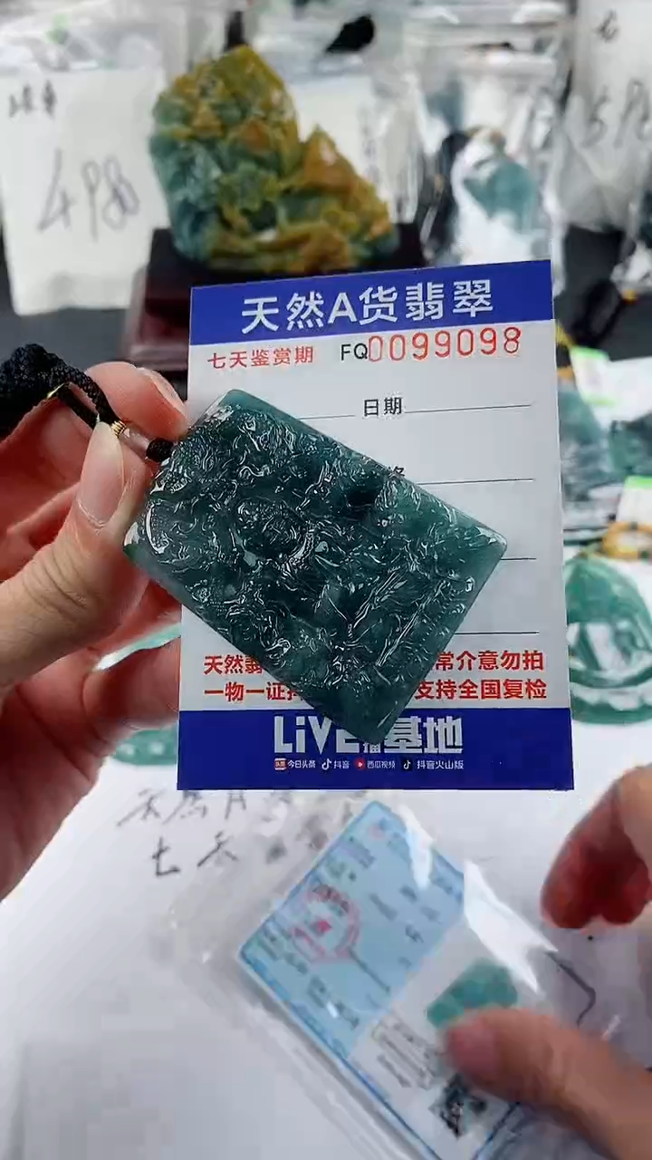 【闪购商品】翡翠颈饰未镶嵌
