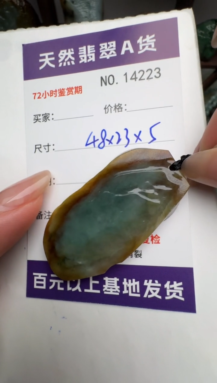 【闪购商品】翡翠颈饰未镶嵌原石14223