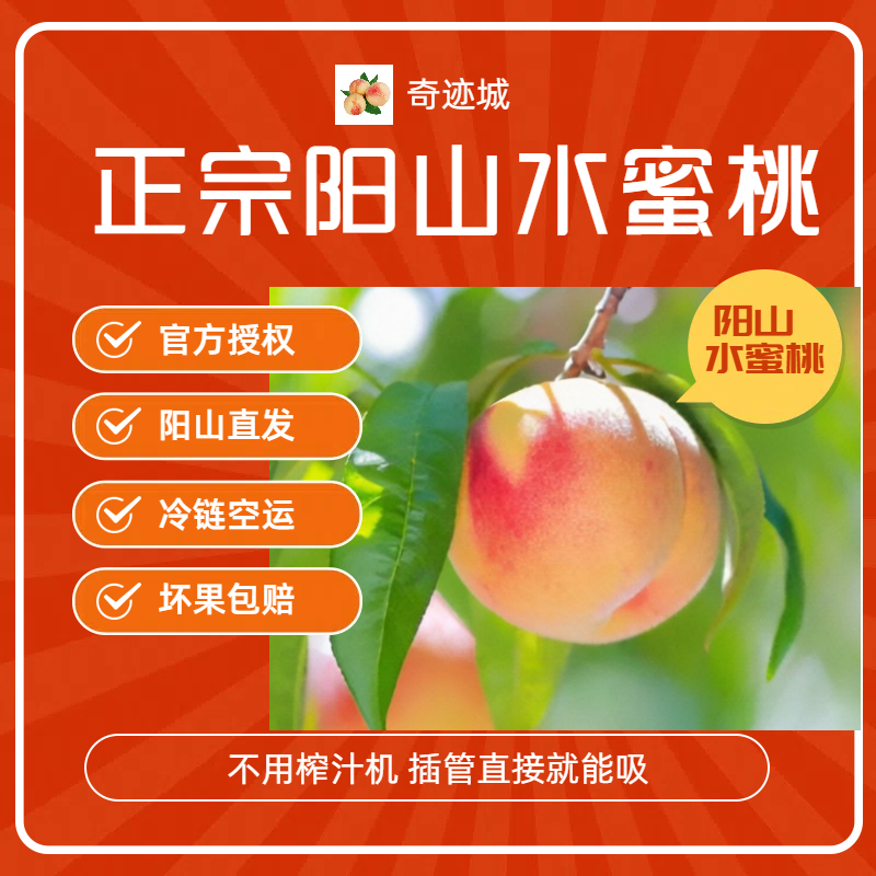 【官方授权】正宗阳山水蜜桃新鲜采摘桃农直发皮薄肉厚香甜多汁A