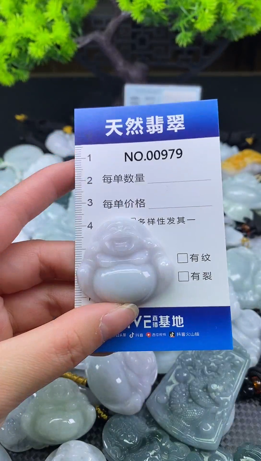 颈饰未镶嵌翡翠天然缅甸翡翠979