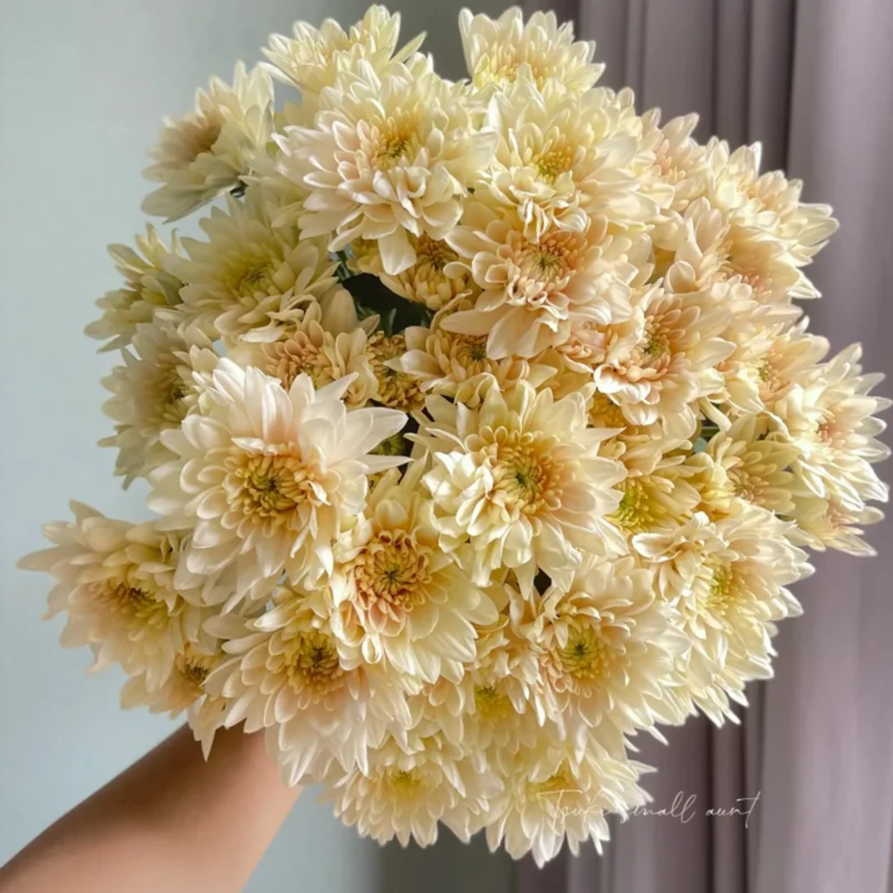 【花相拾】奶油多头三文鱼