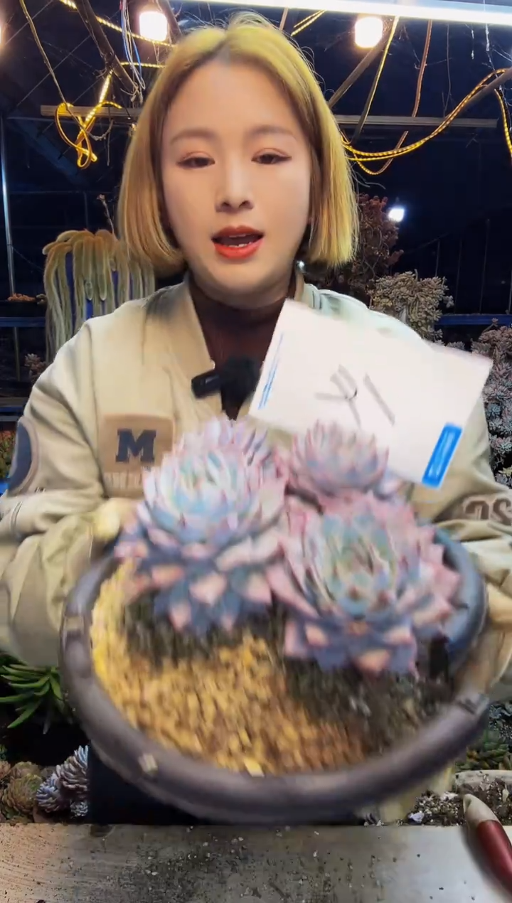 14号一物一拍脱土包邮