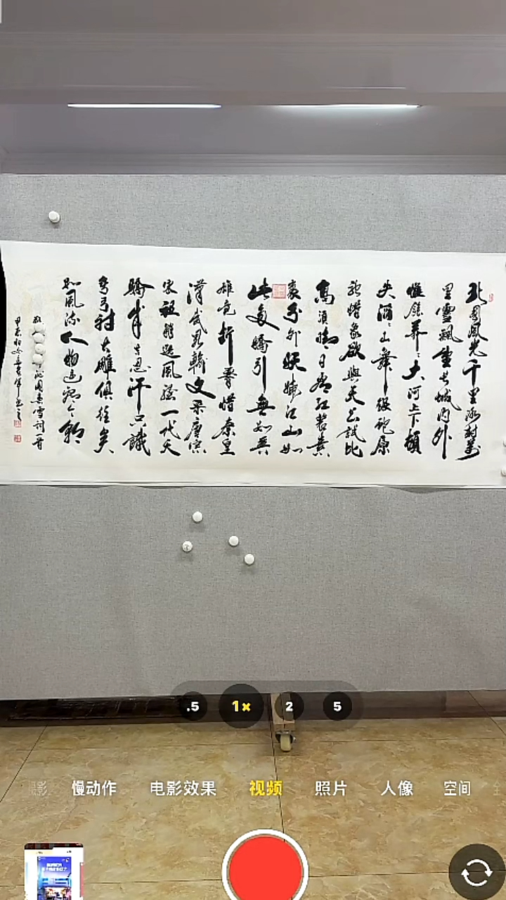 【闪购商品】书法-绘画-马贵军-12平尺书法