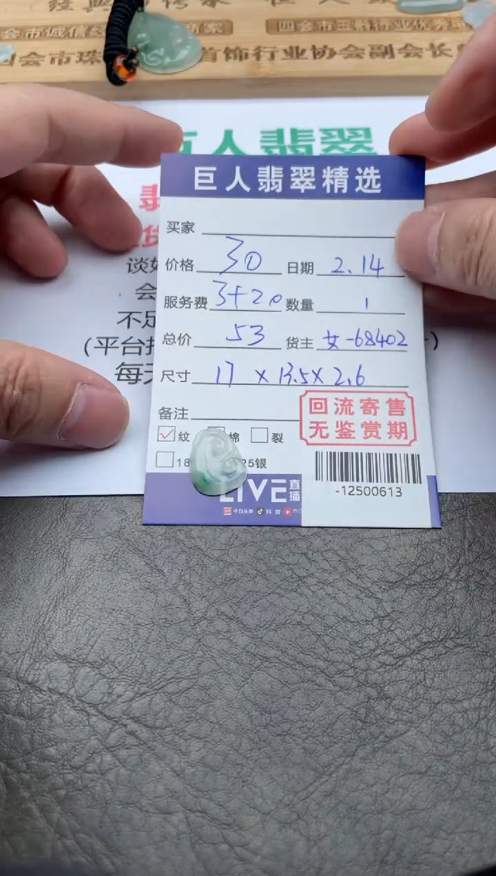 【闪购商品】翡翠颈饰未镶嵌多人-12500613