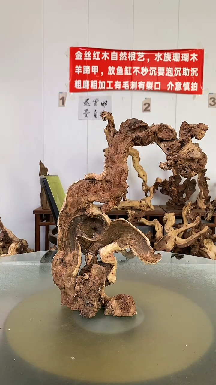 香榧木顺**然金丝红木 羊蹄甲