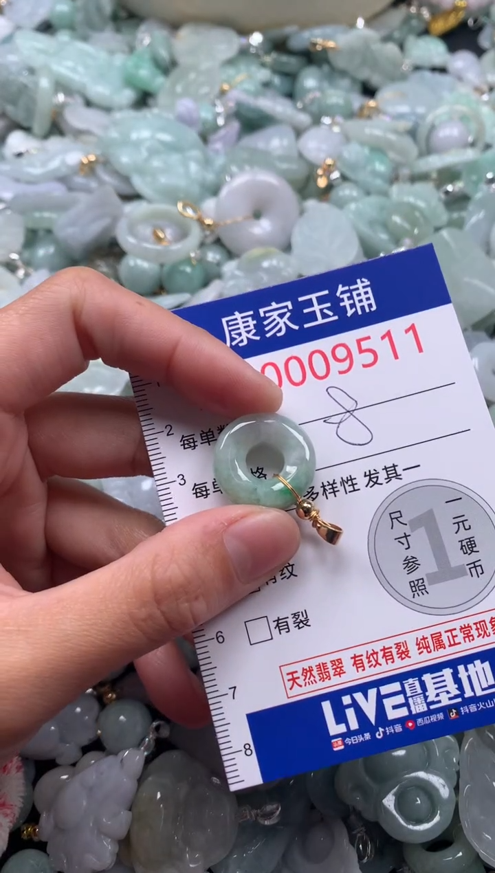 颈饰未镶嵌翡翠9511
