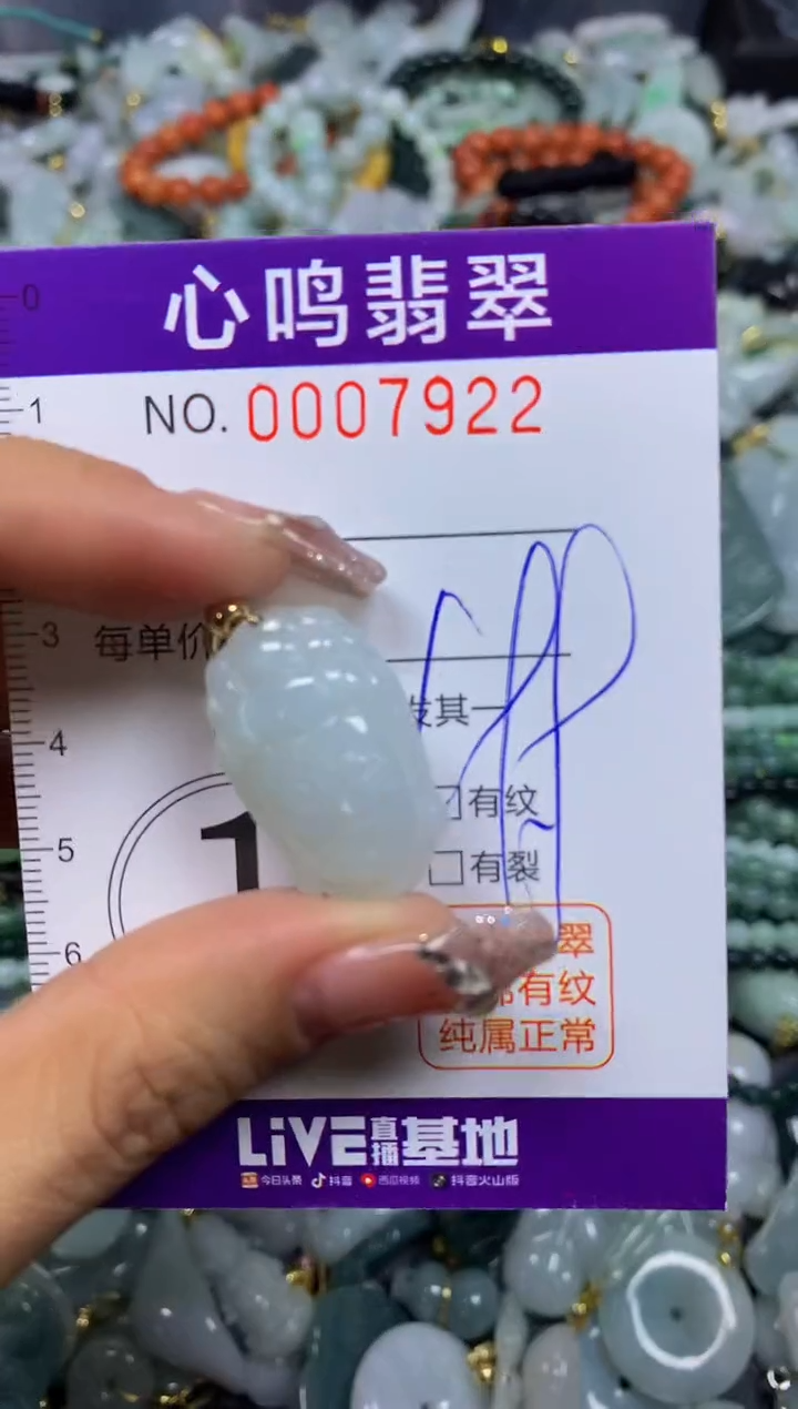 【闪购商品】翡翠颈饰未镶嵌闪购007922