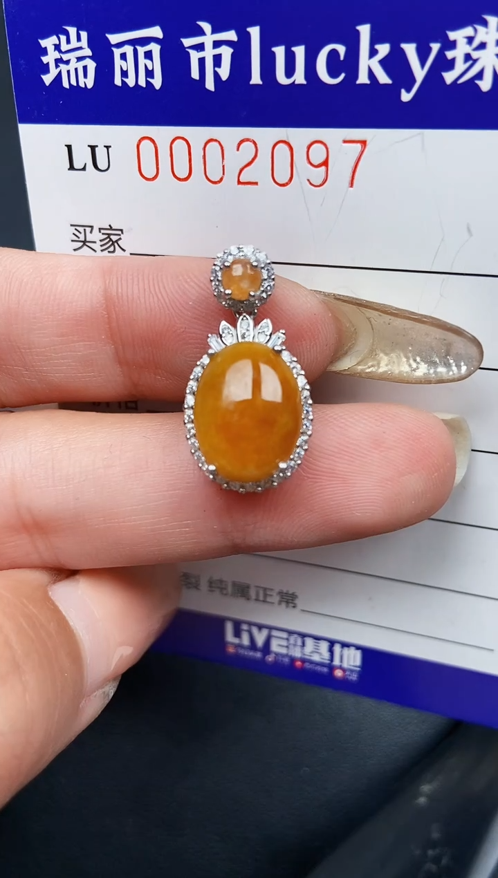 【闪购商品】翡翠颈饰银S925镶嵌2097