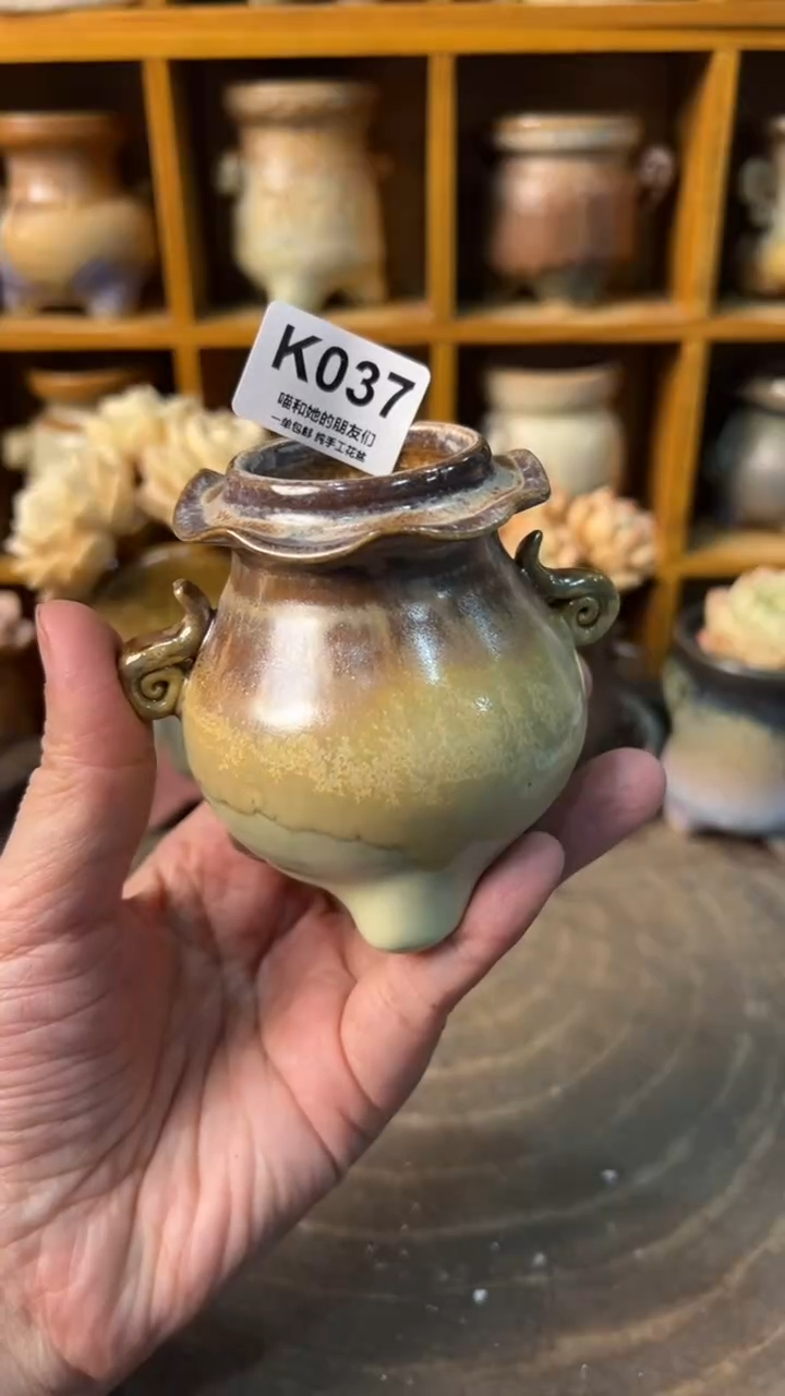 037 内口3.5【多肉花盆多肉盆】