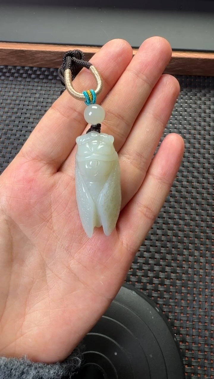 吊坠(赠链)未镶嵌和田玉新疆且末近矿青白蝉吊坠