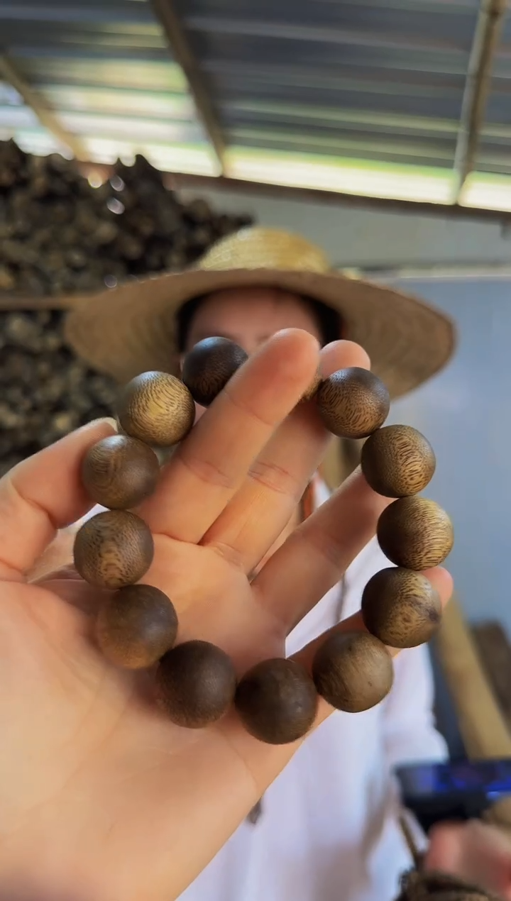 【闪购商品】沉香手串海南绿奇楠乌身虫漏1.8单圈多样性发一