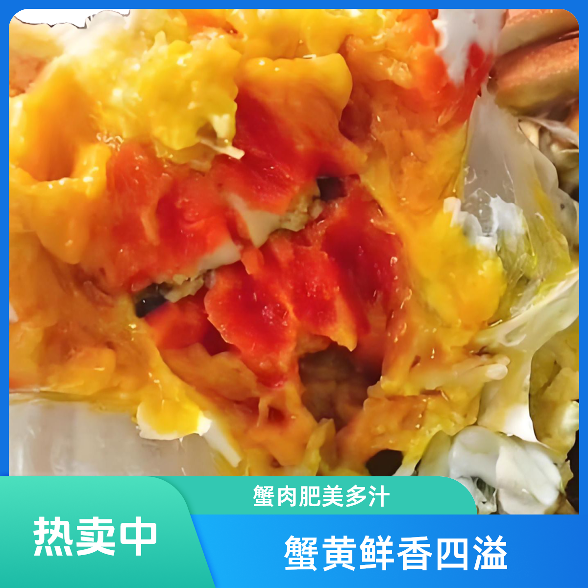 鲜活河蟹母10只（约3两/只）