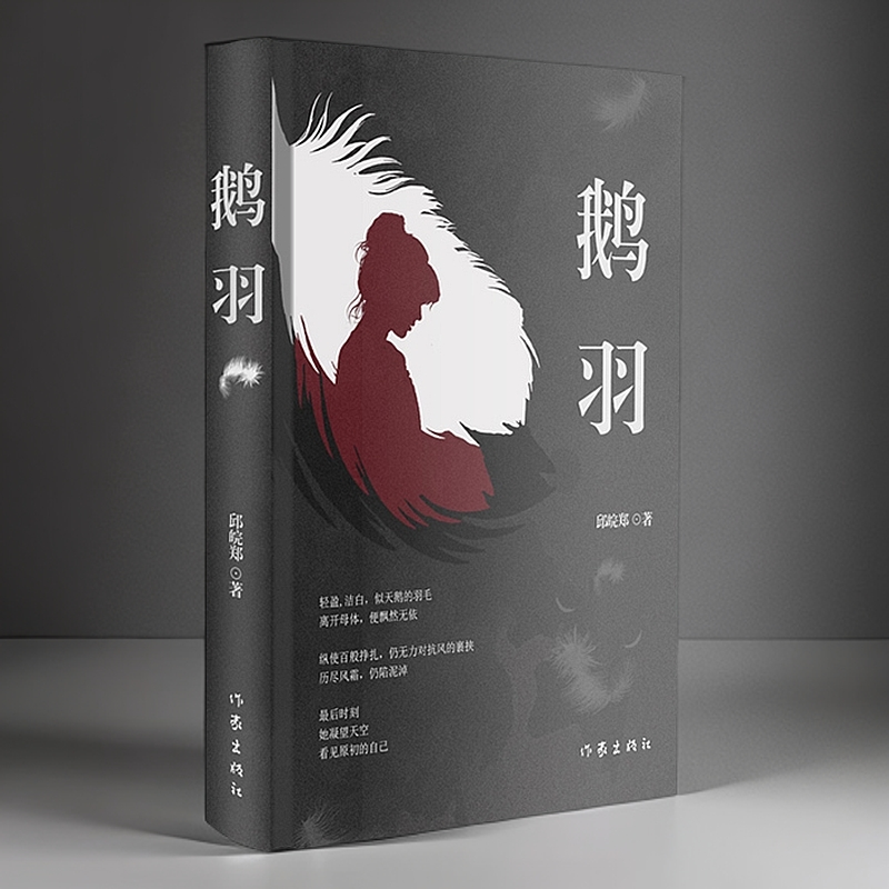 鹅羽（来自一位女律师的人性、世态观察小说)