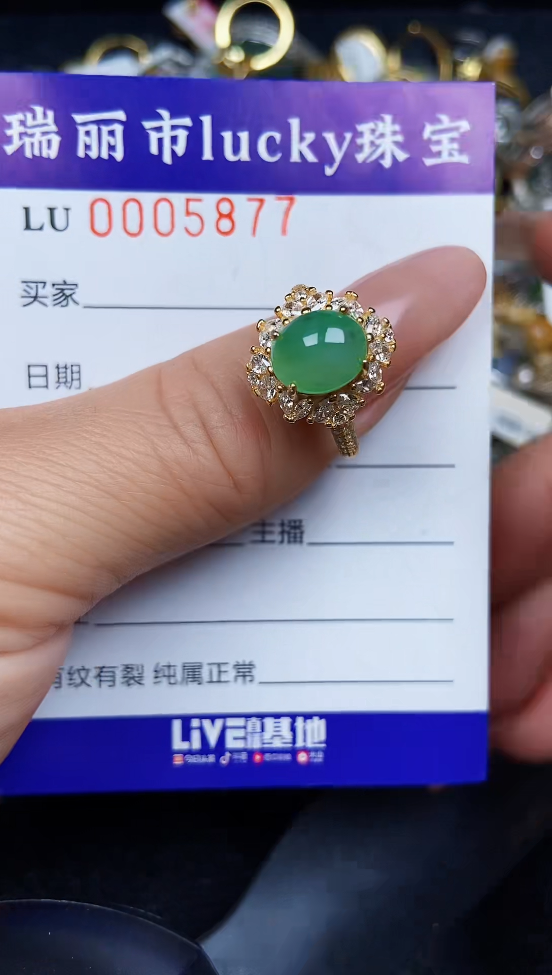 翡翠银S925镶嵌颈饰5877