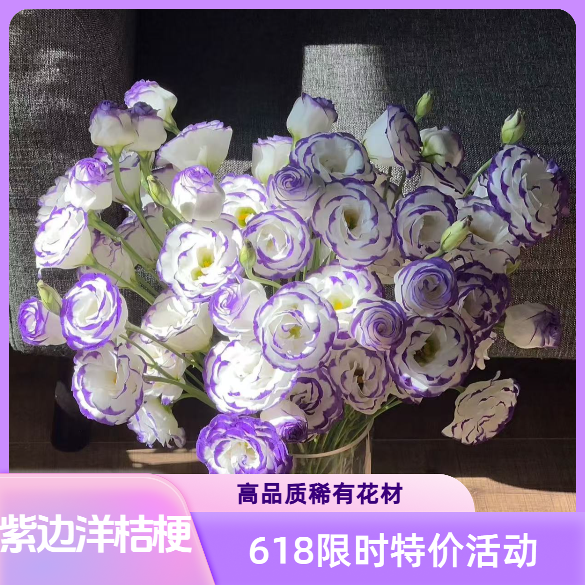 稀有【紫边洋桔梗】高品质花期长洋桔梗云南基地现采直发好养包邮