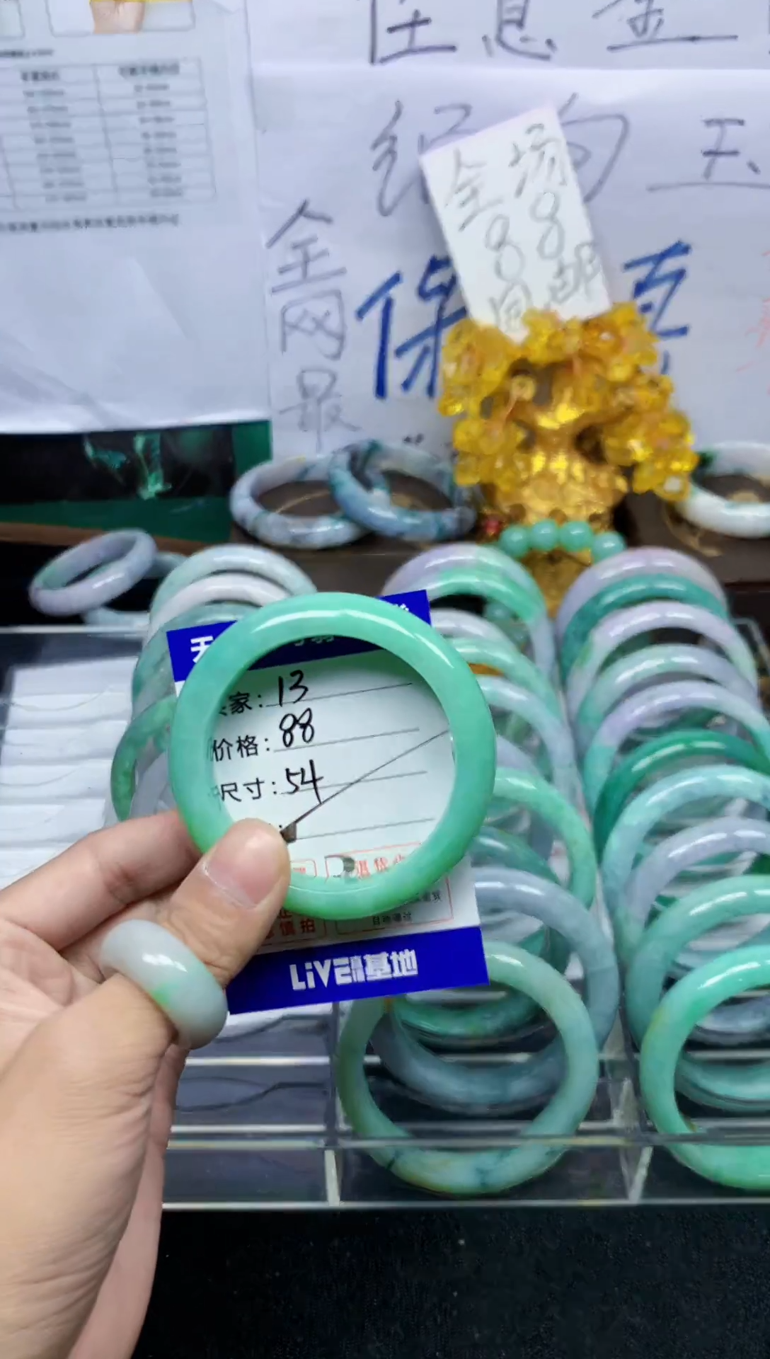 未镶嵌手镯翡翠13