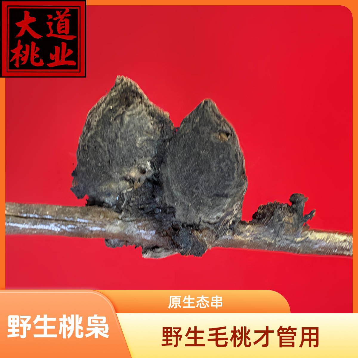 野生老桃树桃枭东南方手串链吊坠原生态