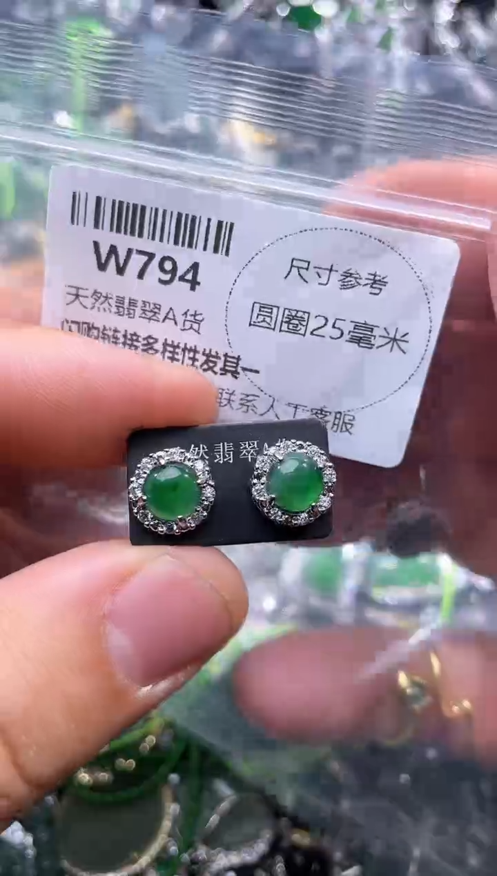 【闪购商品】翡翠颈饰未镶嵌W794耳钉