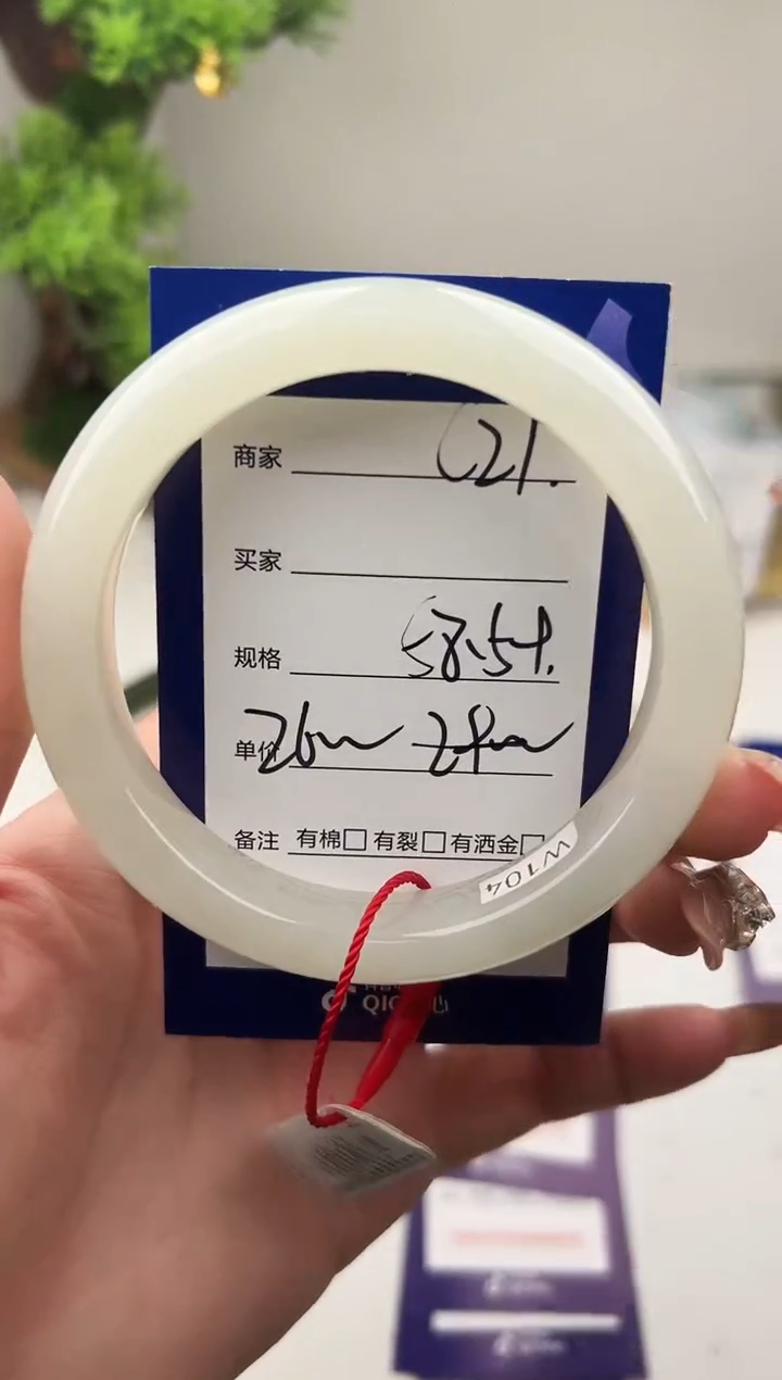 未镶嵌手镯和田玉微色差C21