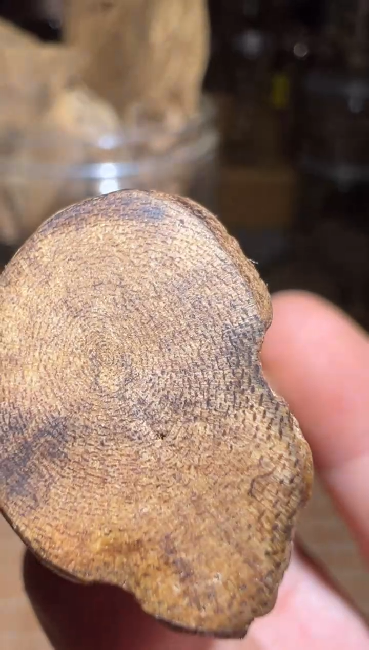 沉香碎屑沉香达拉干9克