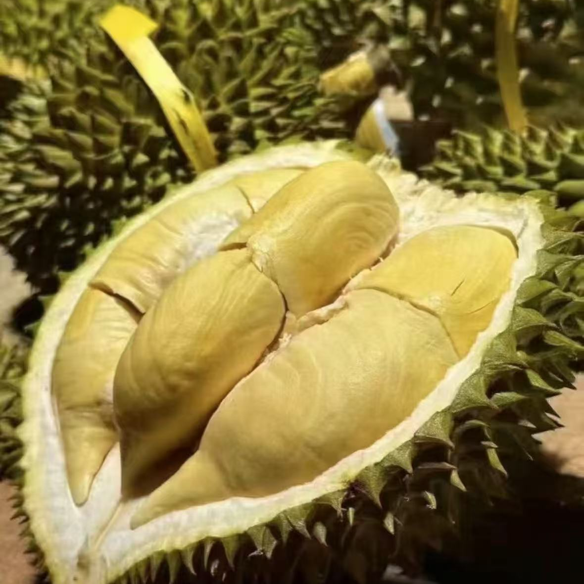 【顺丰明日达】树熟干尧榴莲新鲜榴莲A级软糯清甜7.1斤-10斤核大干尧越南社会主义共和国