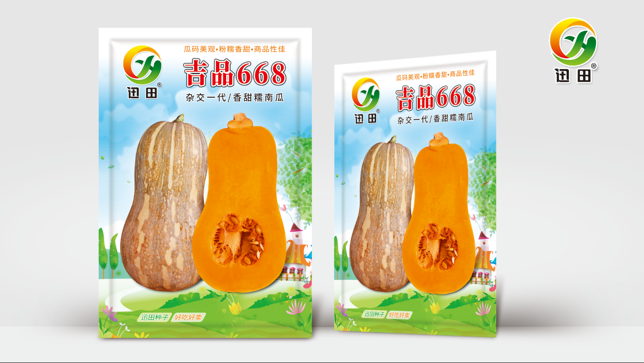 吉品668香甜糯南瓜甜糯板栗味奶油南瓜种子高产特色蔬菜种籽越冬