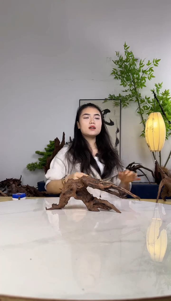 ~**~拍沉木定向链接编号56
