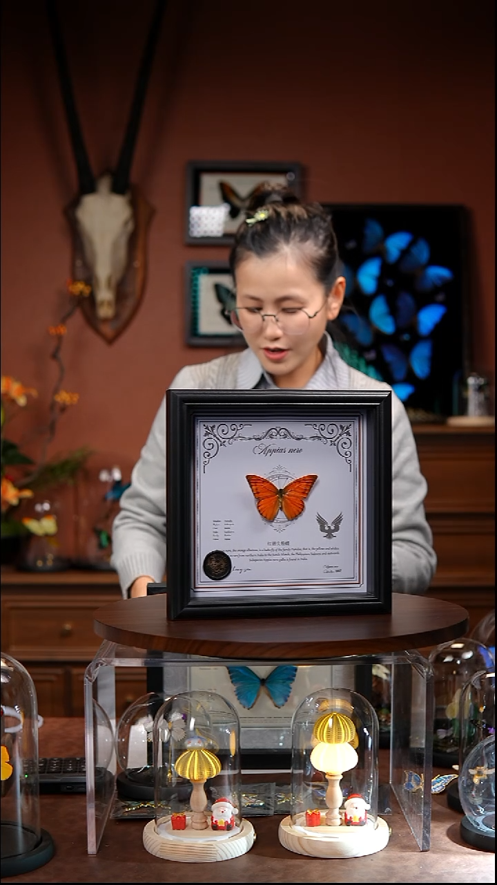 N709红翅尖粉蝶竞拍