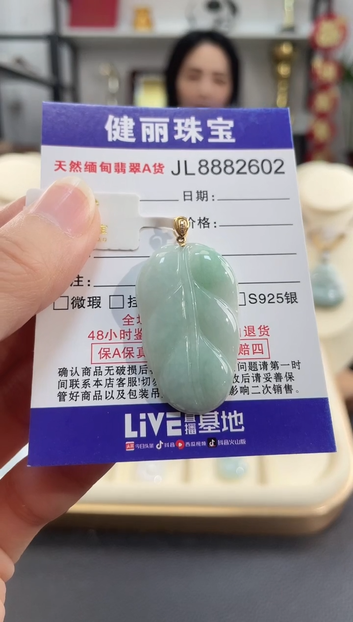 颈饰18K金镶嵌翡翠雅*天然缅甸翡翠A货 金枝玉叶(一物一证)+银链