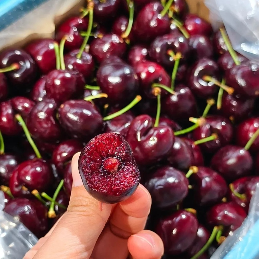 【现货速发】智利进口车厘子空运/海运桑提娜JD-4JD新鲜内附果径卡