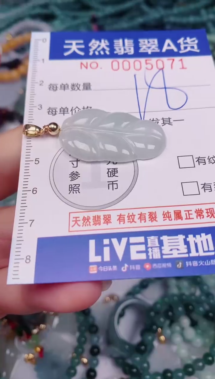 颈饰未镶嵌翡翠00005071