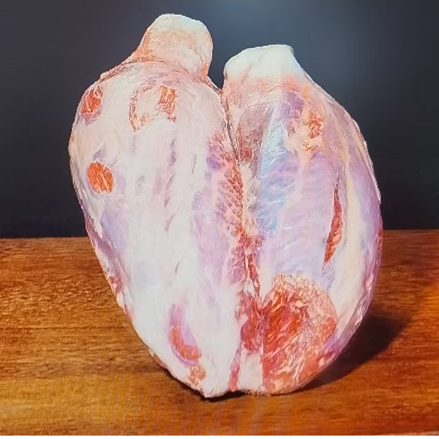 纯血和牛  金钱展 