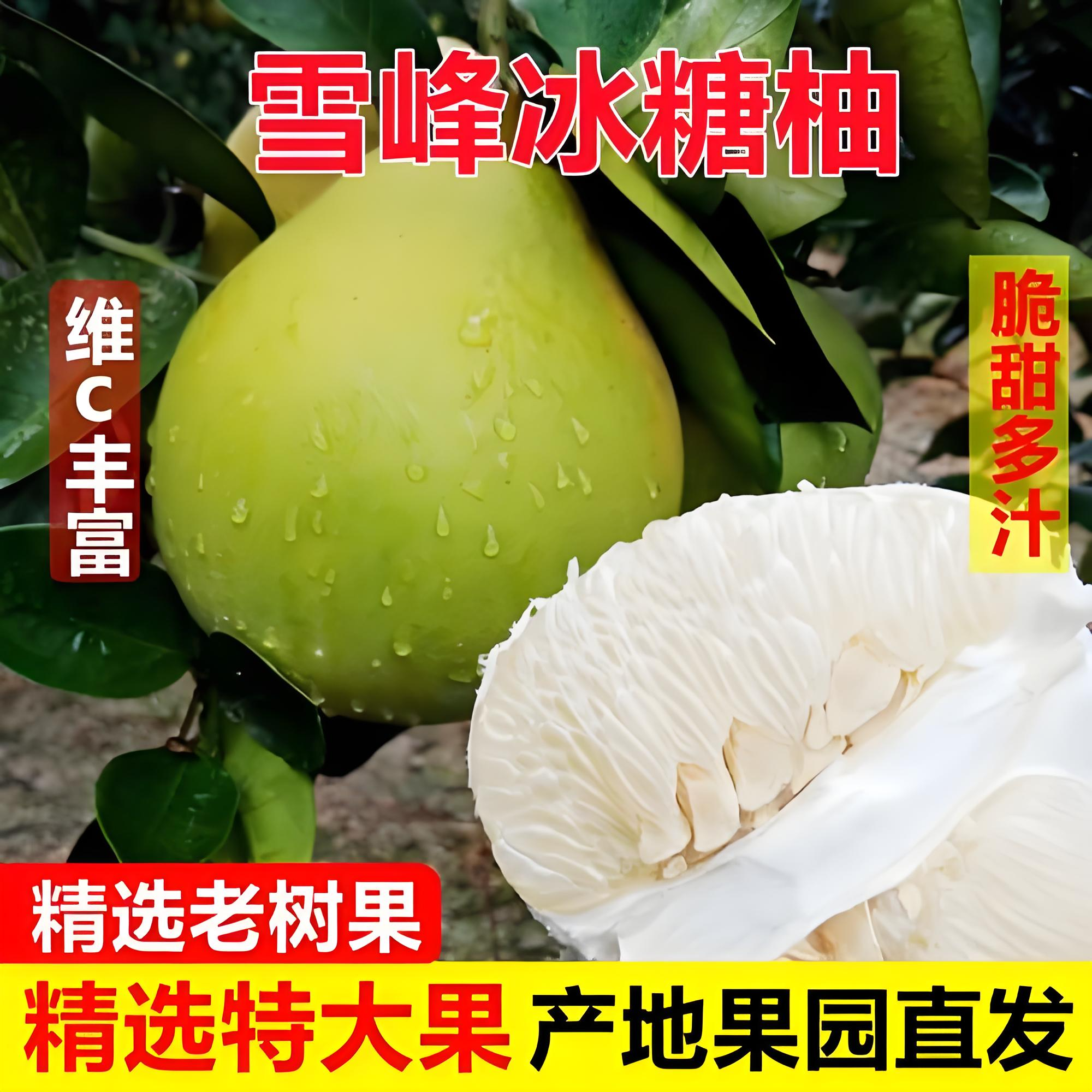 湖南怀化安江雪峰冰糖柚安福柚小苦柚金兰柚脆甜多汁