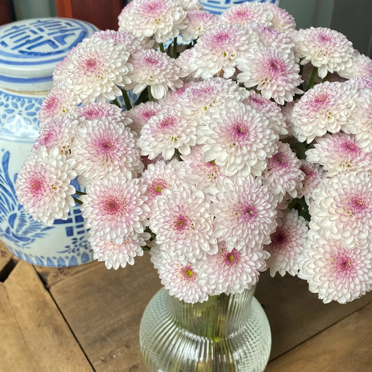 【马蒂斯】多头鲜花小菊云南昆明基地直发精品发一单中通两单顺丰