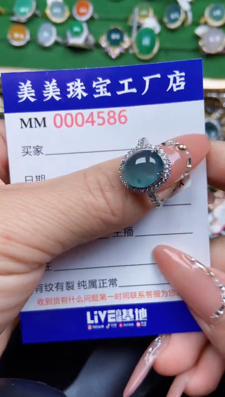 【闪购商品】翡翠颈饰银S925镶嵌4586