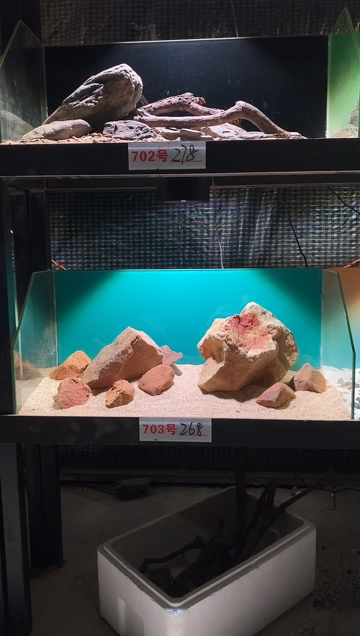 703号鱼缸造景（不含底砂）