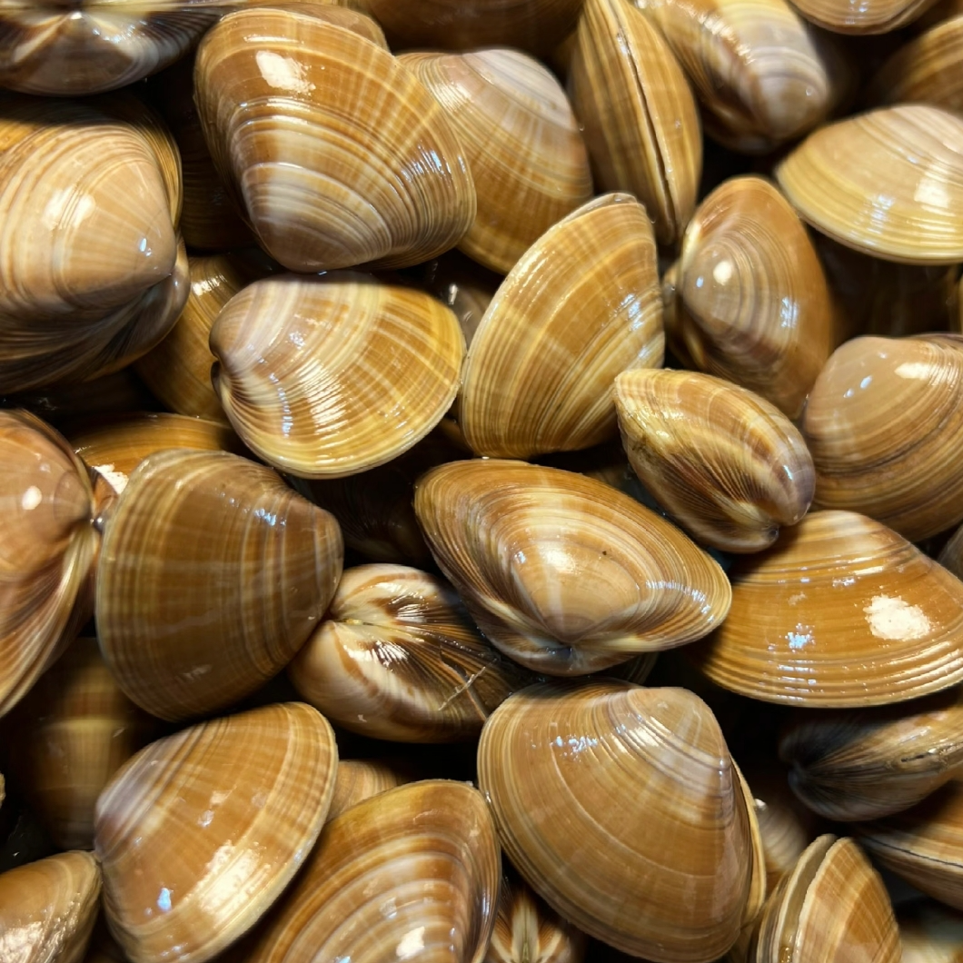 钰隆活鲜【大黄蚬子】一斤