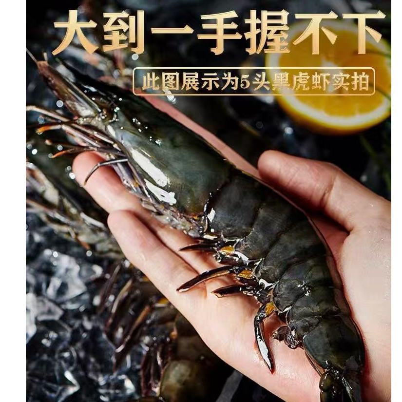 【两斤共6-10条】超大黑虎虾净重1斤液氮锁鲜顺丰包邮