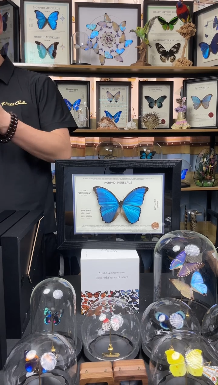 大蓝闪蝶-悬浮款【A4横框】