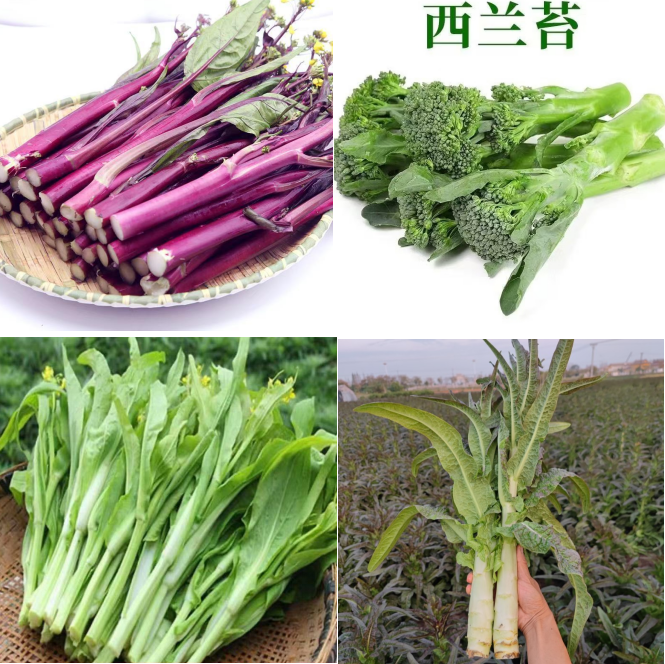 农家自种新鲜红菜苔西兰花莲藕胡萝卜组合装顺丰包邮