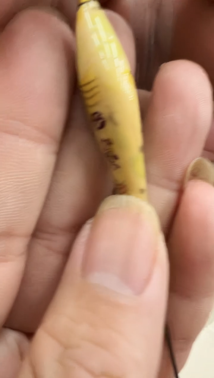   芦苇漂混发四支