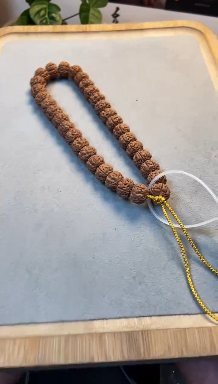 手串金刚菩提老树王11